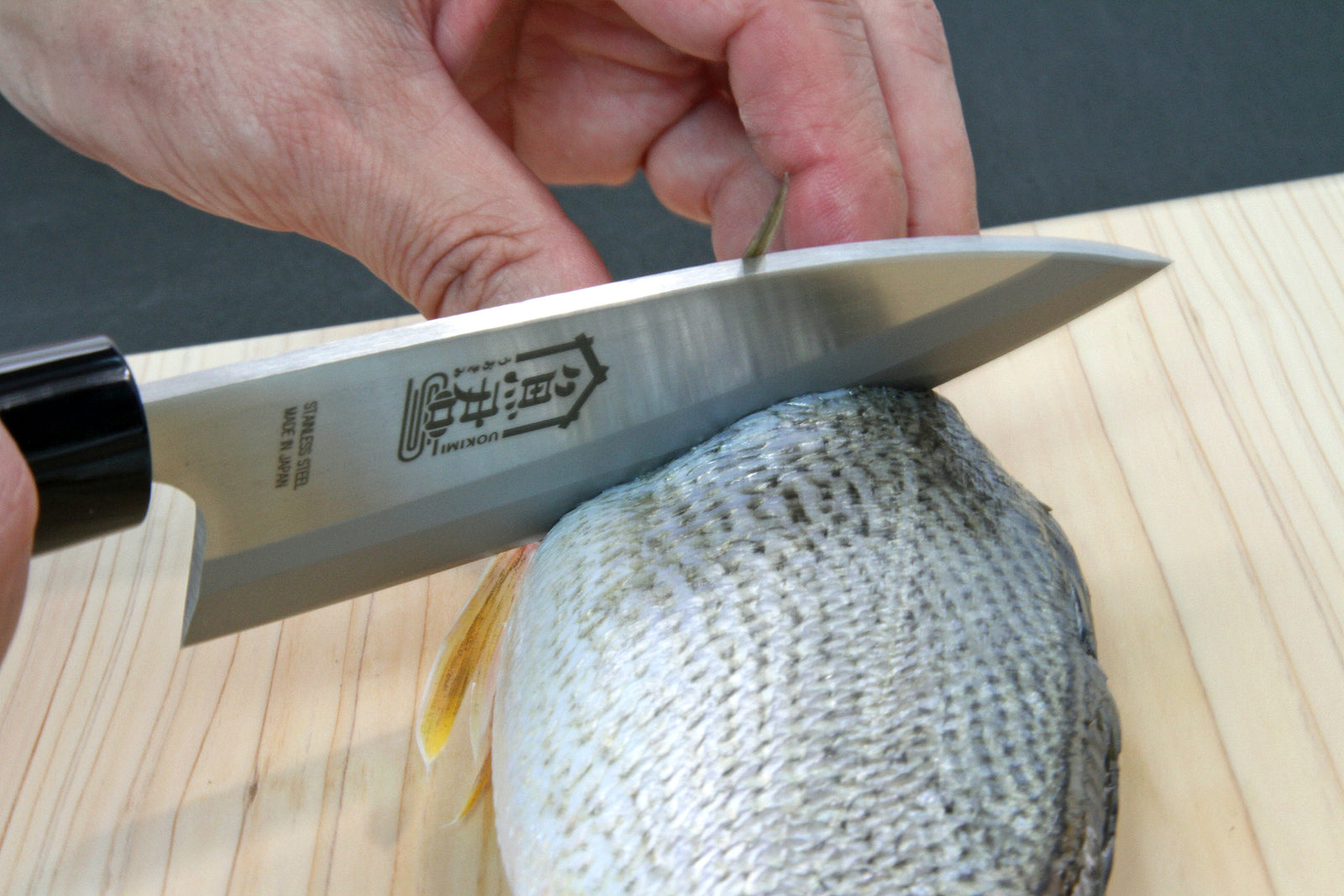 魚君 出刃13.5cm