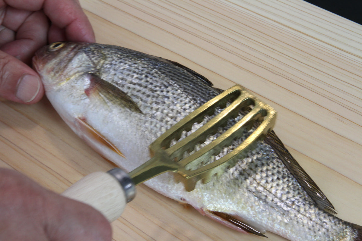 魚君 鱗取り